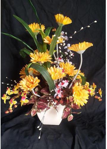 Zerbera Plant Arrangement Bouquet