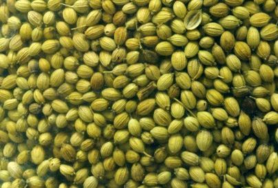 Organic coriander seeds, for Cooking, Spices, Certification : FSSAI Certified