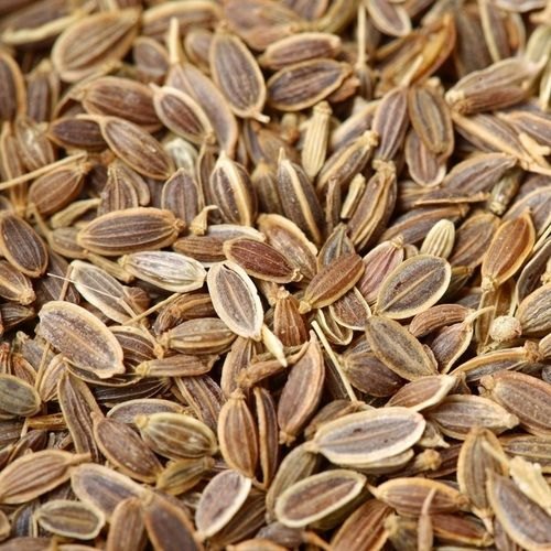 Organic Dill Seeds, for Cooking, Spices, Certification : FSSAI Certified