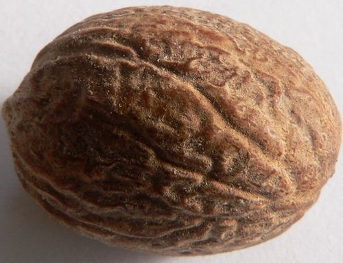 nutmeg