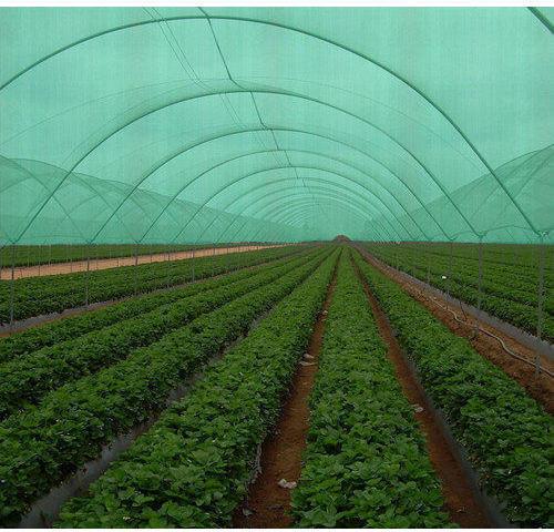 Low Tunnels Agro Shade Net House, for Agriculture, Color : Green