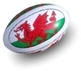 Printed PVC Promotional Rugby Ball, Size : 8.5 Inches