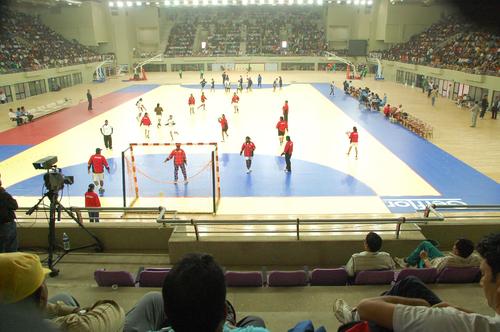 Gerflor Handball Court