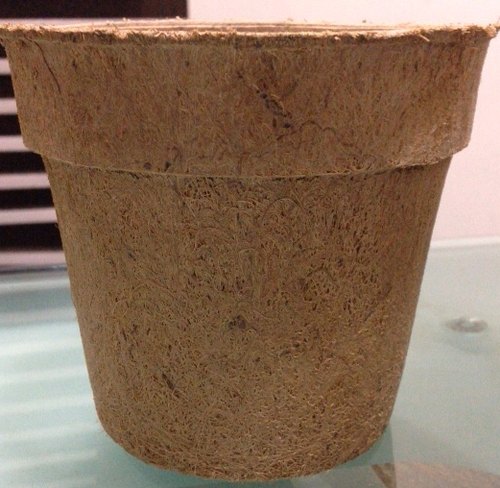 Coconut coir fibre Biodegradable Pot, Size : 6cm dia