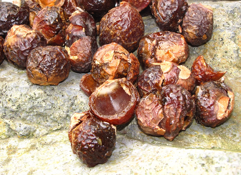 organic soapnuts