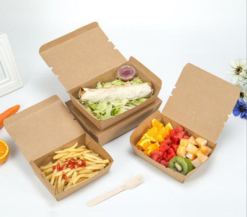 Paper Ecofriendly Disposable Box, Pattern : Plain