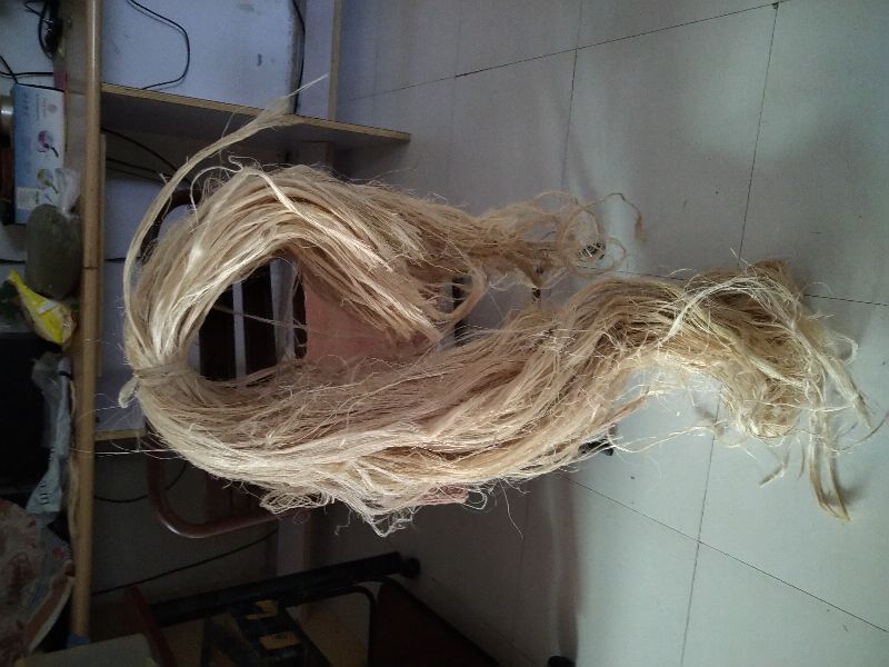 Raw Banana Fiber, for Rope, Paper Making, Filling Material, Fabrics, Concrete, Clothes, paper, handicraft