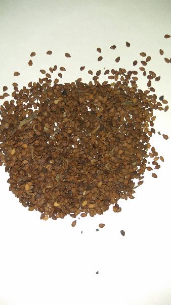 Common sesame seeds, for Agricultural, Making Oil, Purity : 100%