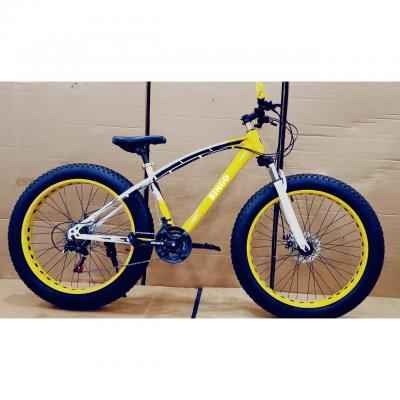 Gear 2024 fat cycle