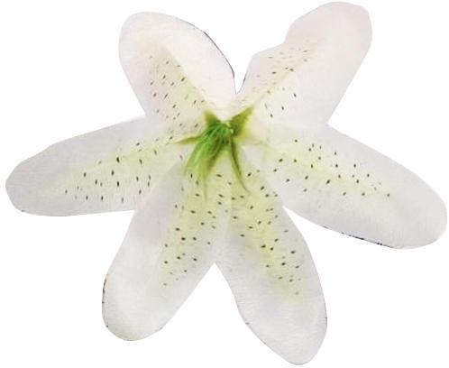 Plastic Artificial Lily, Packaging Type : Carton