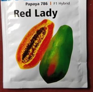 Taiwan Red Lady 786 Papaya Seeds, Packaging Size : 10gm
