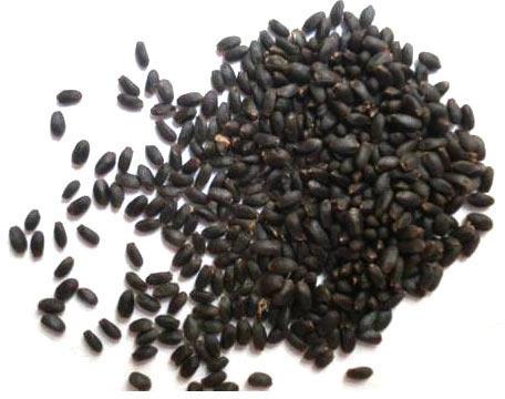Organic Tulsi Seeds, for Health Supplement, Color : Black