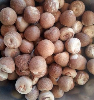 Common Betel Nuts, for Chinese Medicines, Food, Herbal, Feature : Freshness, Good Quality, Safe To Consume