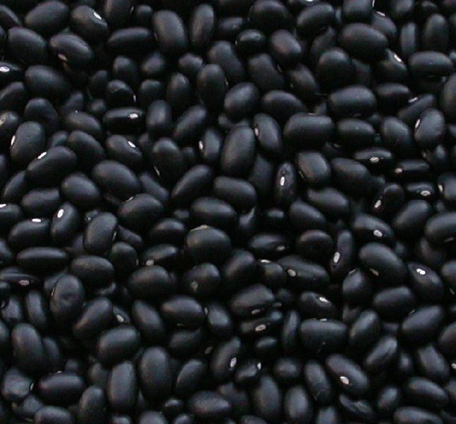 Black Beans, Black Kidney Beans