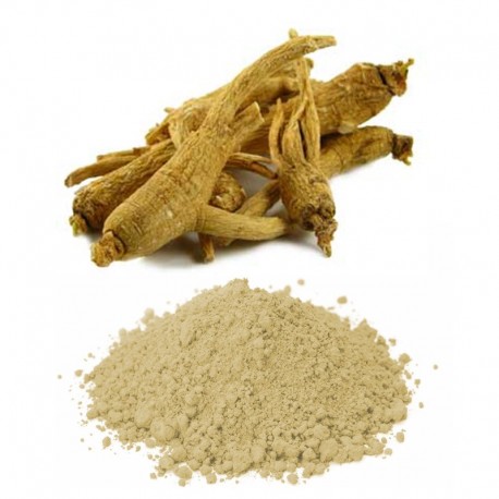 Ginseng Powder