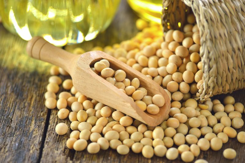 Blended Common Hydrogenated Soybean Oil, for Cooking, Making of margarine, shortening, Purity : 99.99%