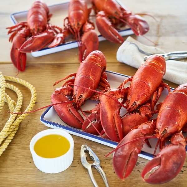 Maine Lobster, for Cooking, Food, Human Consumption, Making Medicine, Making Oil, Packaging Type : Carton Box