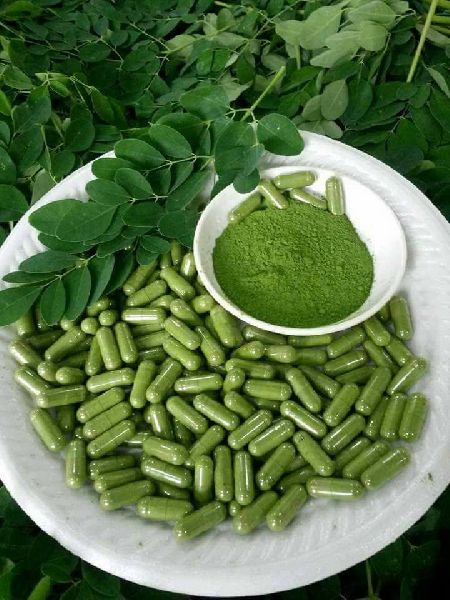 Common Moringa Powder, for Cosmetics, Medicines Products, Style : Dried