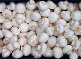 Dried / Fresh White Button Mushroom, for Cooking, Style : Frozen