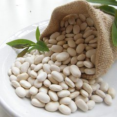 Common White Kidney Beans, for Cooking, Style : Dried