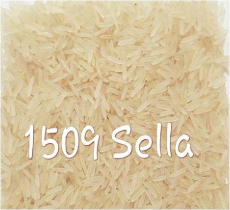 Organic 1509 Sella Basmati Rice, for Gluten Free, High In Protein, Variety : Long Grain