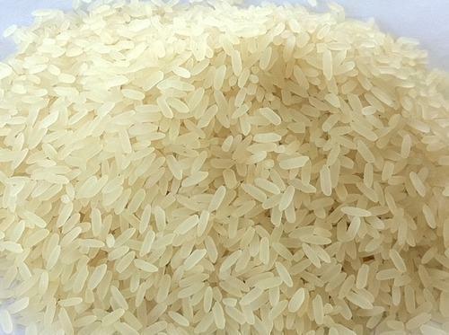 Organic Sella Non Basmati Rice, for Gluten Free, High In Protein, Variety : Long Grain