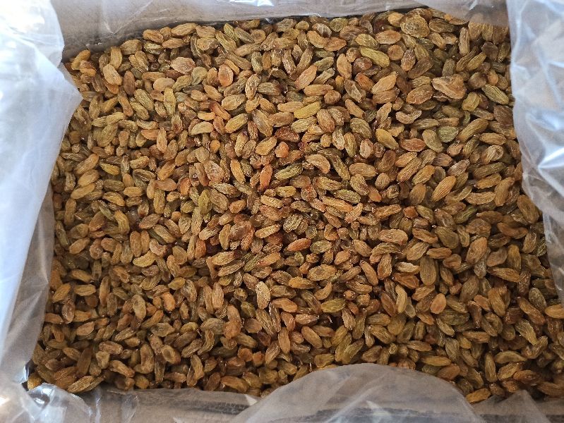 Golden Raisins, Shelf Life : 12 Months