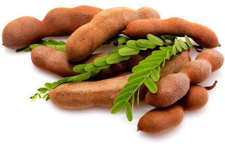 Fresh Tamarind