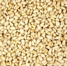 Quality Pine Nut Kernels for sale