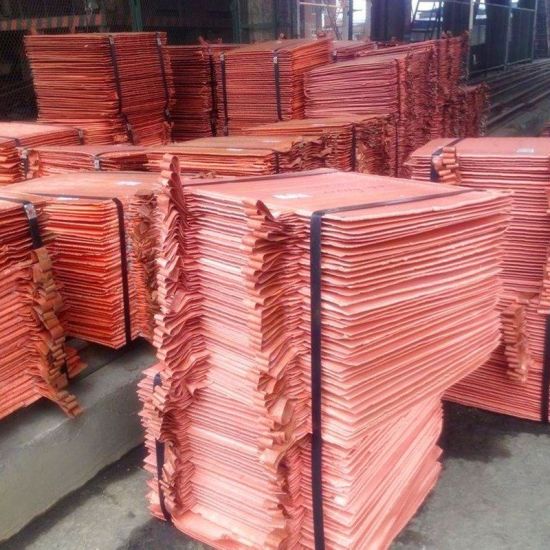 Copper Cathodes, for Industrial, Purity : 99%