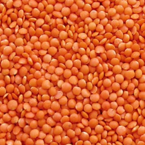 Organic Red Masoor Dal, for Cooking, Certification : FSSAI