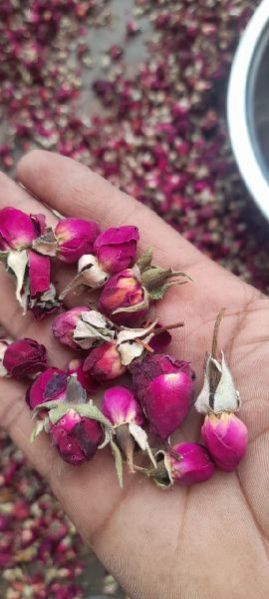 Dried Rose Buds