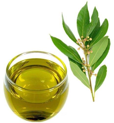 Sugandh Mantri Oil, for Medicine Use, Feature : Long Shelf Life