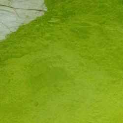Moringa Natural Dry Leaf Powder