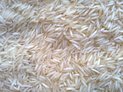 Organic 1509 Steam Basmati Rice, for Human Consumption, Certification : FSSAI Certified