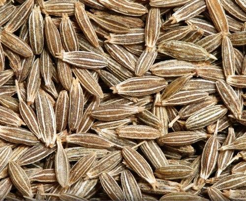 Organic cumin seeds, for Spices, Packaging Type : Plastic Packet