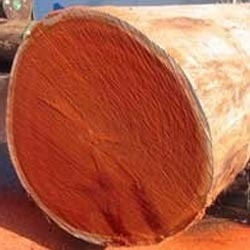 Padauk Wood Logs