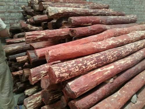 Round Red Sandalwood Logs, for Making Furniture, Flooring, Length : 9 Feet, 10 Feet