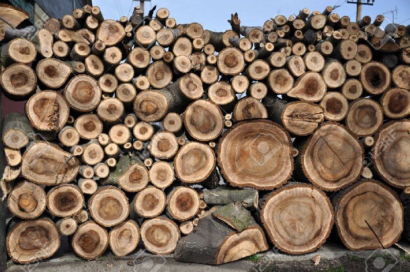 Walnut Wood Logs