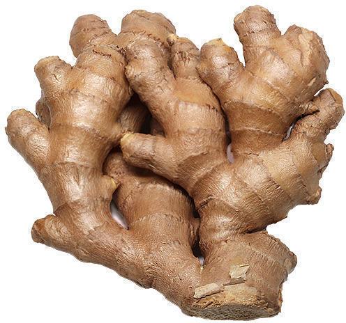 Organic Fresh Ginger, Packaging Type : Gunny Bags, Jute Bags