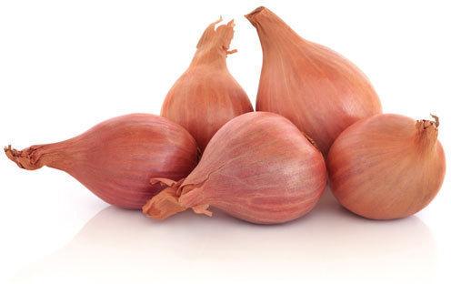 Common Fresh Shallot Onion, for Cooking, Enhance The Flavour, Packaging Type : Jute Bags, Net Bags