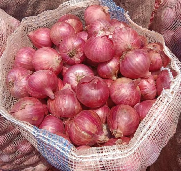 Maharashtra Dry A Grade Pink Onion, For Food, Onion Size Available