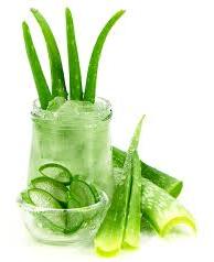 CitSpray Herbal aloe vera gel, for Parlour, Personal, All