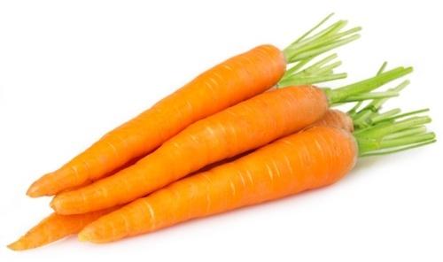 Organic Fresh Carrot, Style : Natural