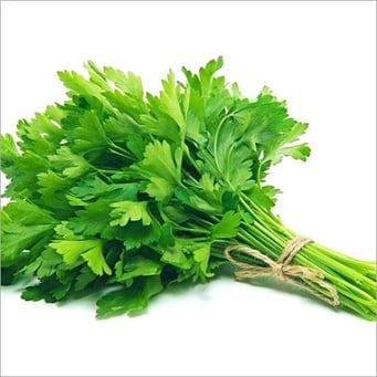 fresh coriander leaves