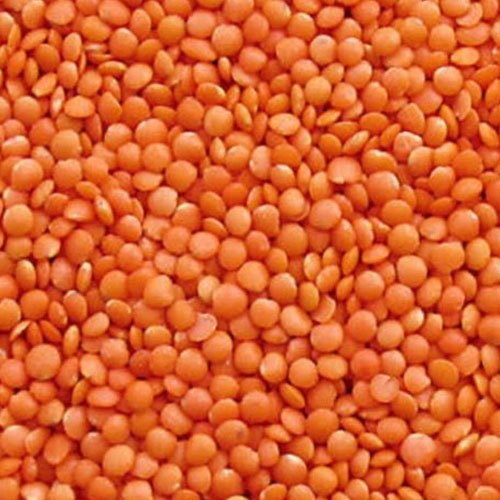 Organic masoor dal, for Cooking, Packaging Size : 25kg, 50kg