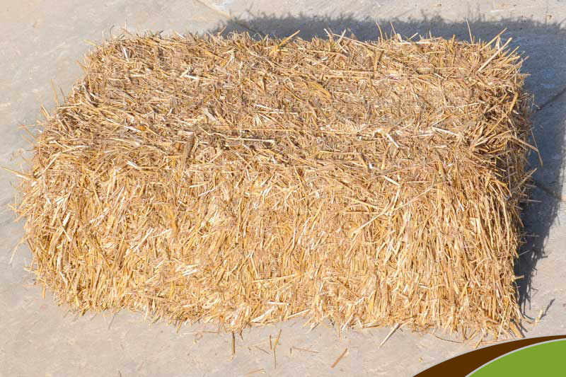 Wheat Husk Bales