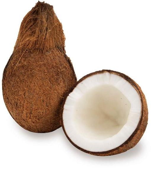 Semi Husked Hard Organic Fresh Coconut, Color : Brown