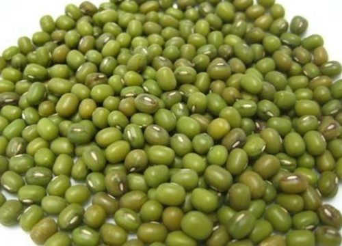 Green Mung Bean