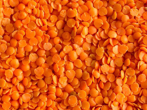 Organic Red Lentils, Shelf Life : 1year